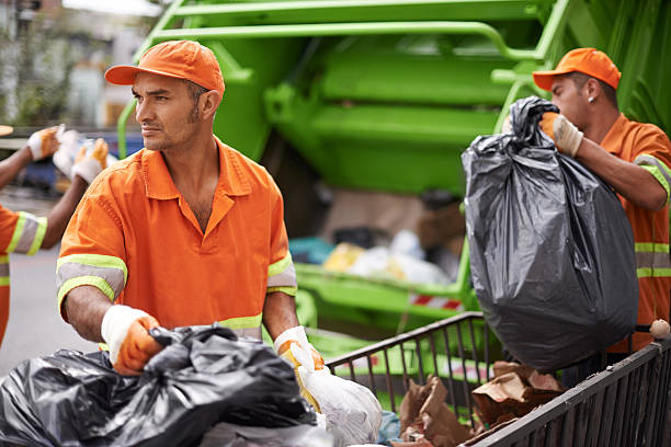 Yard Cleanup Services in West Columbia, TX